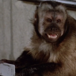 monkeyshines1988